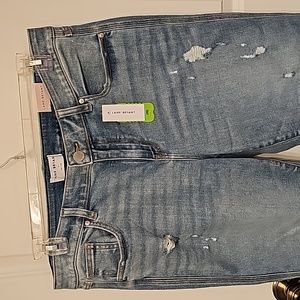 Lane Bryant NWT Signature fit Size 16 Distressed Jeans
